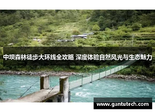 中坝森林徒步大环线全攻略 深度体验自然风光与生态魅力