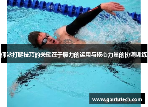 仰泳打腿技巧的关键在于腰力的运用与核心力量的协调训练