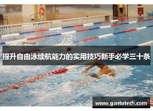 提升自由泳续航能力的实用技巧新手必学三十条