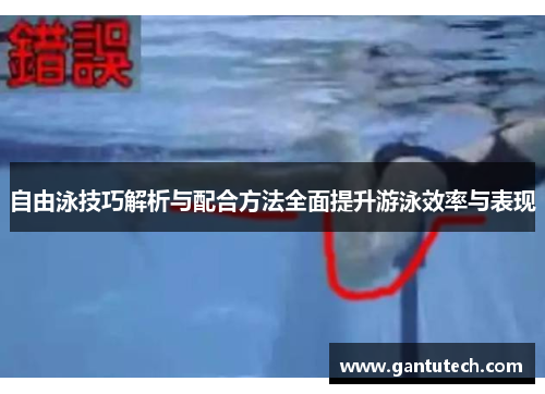 自由泳技巧解析与配合方法全面提升游泳效率与表现
