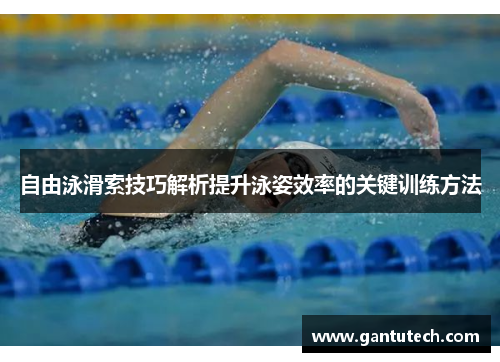 自由泳滑索技巧解析提升泳姿效率的关键训练方法