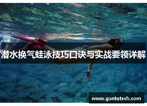 潜水换气蛙泳技巧口诀与实战要领详解