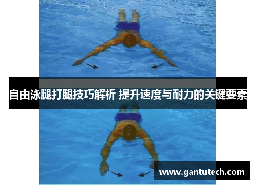 自由泳腿打腿技巧解析 提升速度与耐力的关键要素